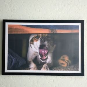 11x17 Original Dog Photography Print – Cozy Home Wall Art, Unframed